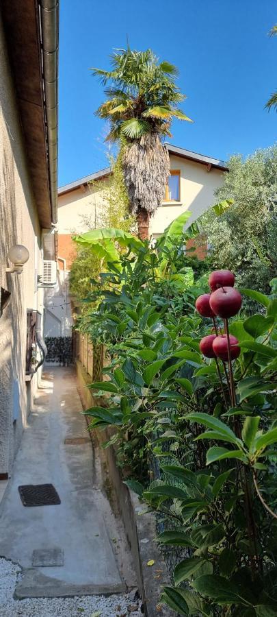 Studio Simone - Terrasse Et Jardin - Tv - Wifi تولوز المظهر الخارجي الصورة