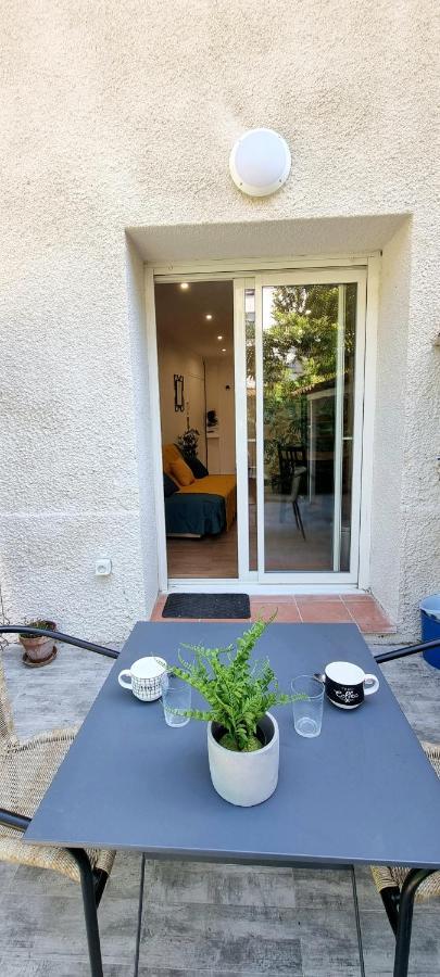 Studio Simone - Terrasse Et Jardin - Tv - Wifi تولوز المظهر الخارجي الصورة